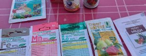 ЗАЧЕМ РОЗАМ МИКРОЭЛЕМЕНТЫ?