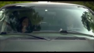 Звёздочка моя ясная