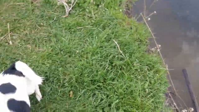 ВСЕХ С ПРАЗДНИКОМ ПАСХИ/ХРИСТОС ВОСКРЕСЕ смотреть онлайн