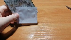 Выращивание Примулы Высокой из семян. Посадка Примулы Высокой на рассаду.