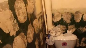 Ремонт ванной и туалета. Как снять плитку со стены и пола?