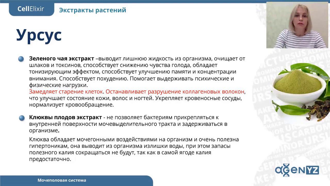 Урсус для мочеполовой системы