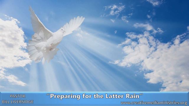 ПРИГОТОВЛЕНИЕ К ПОЗДНЕМУ ДОЖДЮ 4 ч. - Билл Ливерсидж. смотреть онлайн