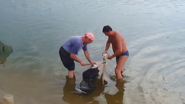 Рыбалка Ахтуба 2014 смотреть онлайн