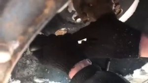 "Трэкол" замена нипиля, без разборки колеса.