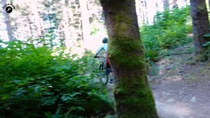 Schwalbe 2021 Nobby Nic & Big Betty Tire Review