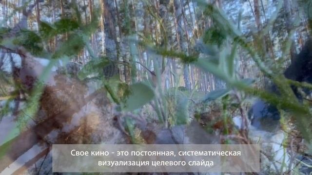 Мечтайте правильно! (Трансерфинг реальности)