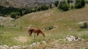 Yürekleri Yakan Yanık Uzun Havalar Türküler ( Yükleme Sevdiğim Bu Derdi Bana )