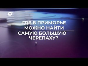 Знай свой край / Сенькина Шапка