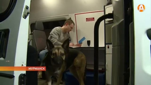 До 23 декабря в Мурманске на разных площадках будет работать мобильный ветеринарный пункт смотреть онлайн