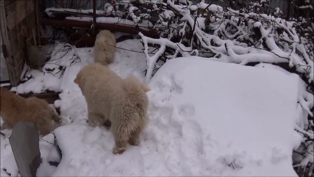 Счастливое детство! смотреть онлайн