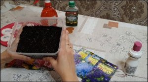 ПРАВИЛЬНАЯ ПОСАДКА АСТРЫ