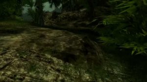 Tropical Skyrim VR мод лисички прохождение 1