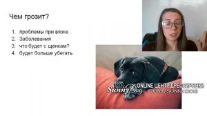 Нужно ли вязать кобеля или нет? полезна ли вязка для здоровья? Что будет если развязать кобеля