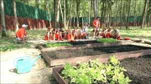 ДОМ-2 Lite 3739 день Дневной эфир (05.08.2014)