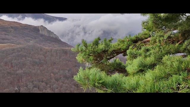 ⛰️Счастье не за горами-счастье в горах!
Крым . ноябрь 2023
#крым#горы#курск