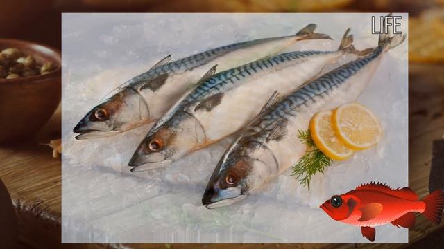 Всегда смотри что ты ешь! Как избавиться от всех паразитов в рыбе?