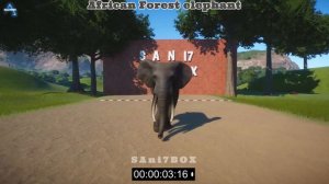 Planet Zoo Big Animal Race | Sri Lankan elephant, African Forest Elephant, Mammoth, Indian elephant