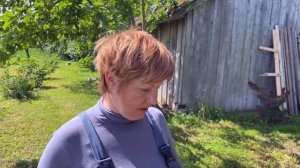 Высадка северной пальмы. Обзор плантации ивы сортовой 03.07.2020