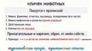 Правописание собственных имён, лиц, кличек животных (6 класс, видеоурок-презентация)