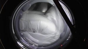 LG AiDD Steam Washer, Baby Care 60 cycle with Steam (Downloaded)