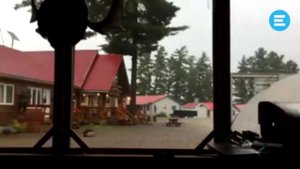 Молния ударила в дерево / Flash strike to tree