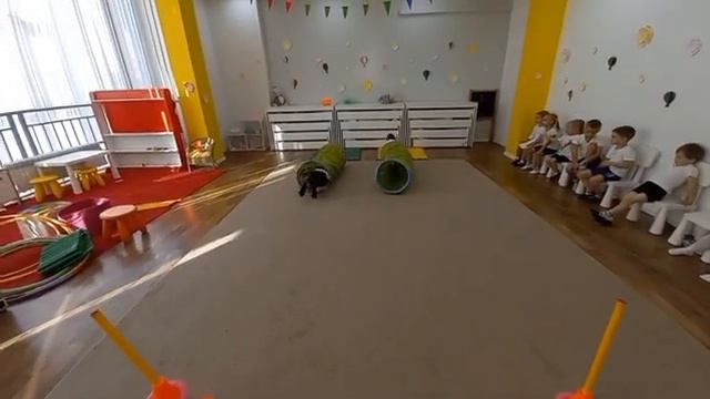 Спортивные задания на уроке физкультуры в детском саду.
