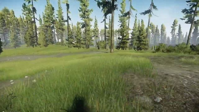 Выход Дом Диких Лес (Выход за ДИКИХ) | Escape from Tarkov смотреть онлайн