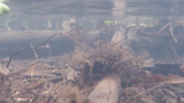 Съёмка под водой на Sony Xperia Acro S. смотреть онлайн