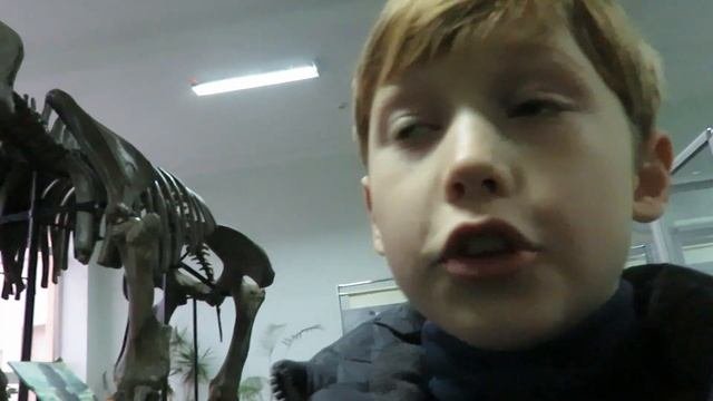 Школьники нашли скелет мамонта