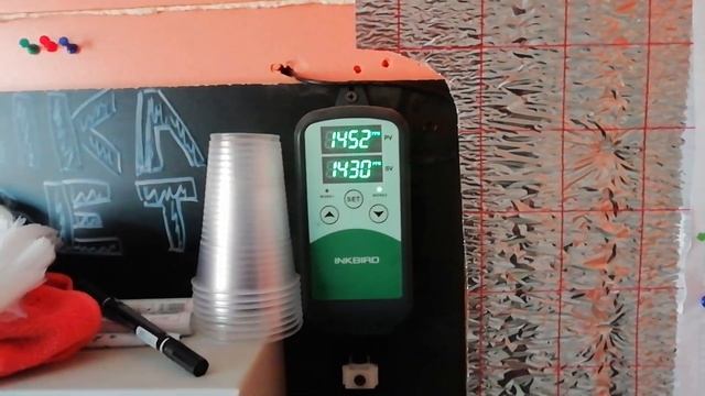 БАШКИРИЯ С ШАМПИНЬОНАМИ | ЗИМФИР И ЕГО КАМЕРА ВЫРАЩИВАНИЯ смотреть онлайн