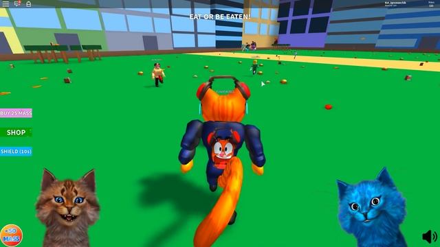 МЫ ОЧЕНЬ ПОТОЛСТЕЛИ! / ЗАЧЕМ КОТИК ИГРОМАН СЪЕЛ КОТЁНКА ЛАЙКА? смотреть онлайн