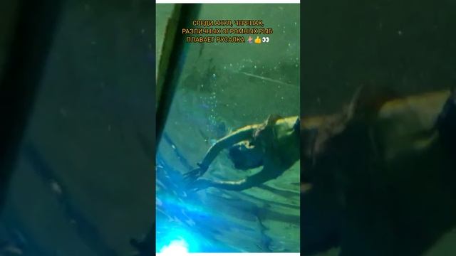 РЕДКАЯ ВОЗМОЖНОСТЬ ПРИКОСНУТЬСЯ К ПОДВОДНОМУ МИРУ, ОБРАЗОВАННОМУ СРЕДИ ЖАРКИХ СТЕПЕЙ!