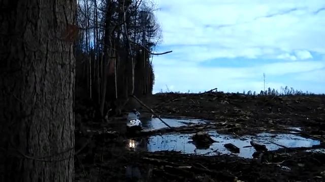 Бураны и Lynx. Закрытие зимнего сезона. смотреть онлайн