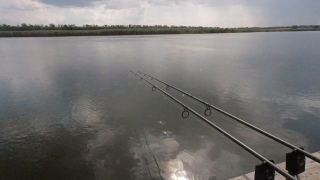 24 часа рыбалки на карпа в августе 2020 | линь,карась,щука | вот это рыбалка!!!! | HD смотреть онлайн