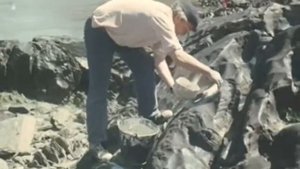 Киножурнал "Хочу всё знать" - Выпуск № 145