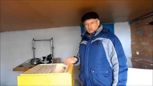 Делаем семью медовик