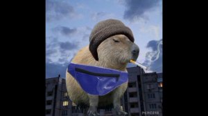 Думерские лица копибары шаблон