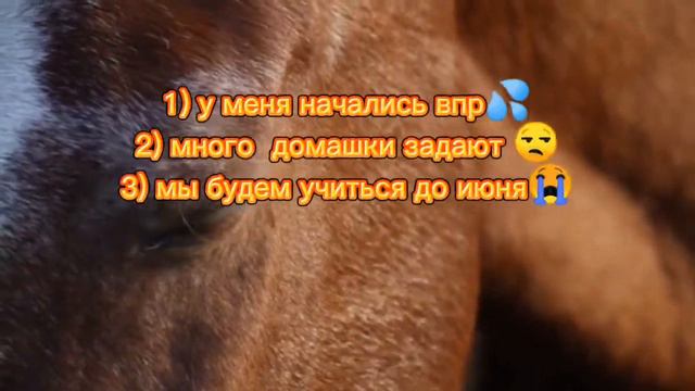 Куда я пропала? что такое? 😢 смотреть онлайн