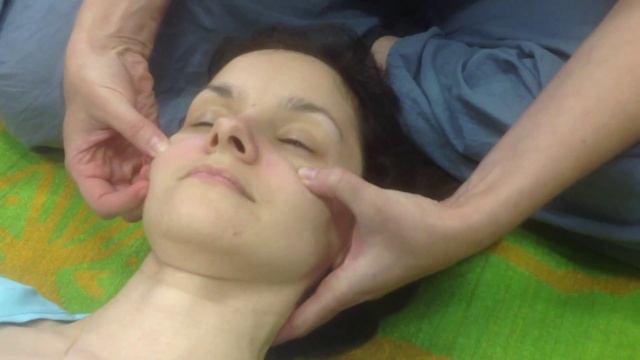 Елена Шубина. Работа с "социальным намордником". Элементы.
