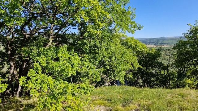 Краснодарский край смотреть онлайн