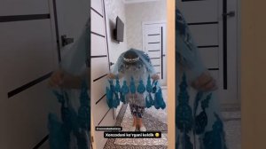 Xonzoda Dostovani ko'rgani kelishdi kelin salom#xonzodadostova