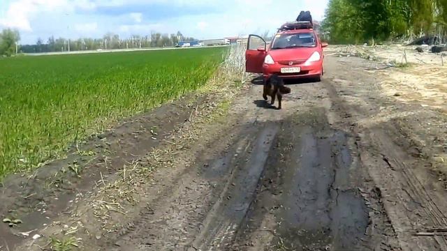 Едем из Смоленска на овчаровозе :) смотреть онлайн