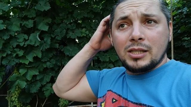 ВИНОГРАД СУПЕР ЭКСТРА ВСЁ ТАКИ ТРЕСНУЛА КАК ИЗБЕЖАТЬ ТРЕСКА НА СУПЕР ЭКСТРА