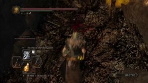 Dark Souls 2 NG+ Огненные саламандры