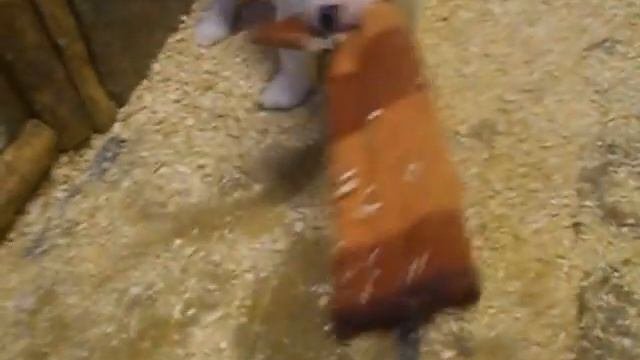 начальная дрессировка щенка среднеазиатской овчарки 1,5 месяца