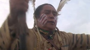 Белый бизон.