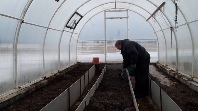 Сажаем лук на зелень в марте в парнике. смотреть онлайн