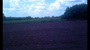 Природа, с.Ланцево, Запорожская обл. 2013г