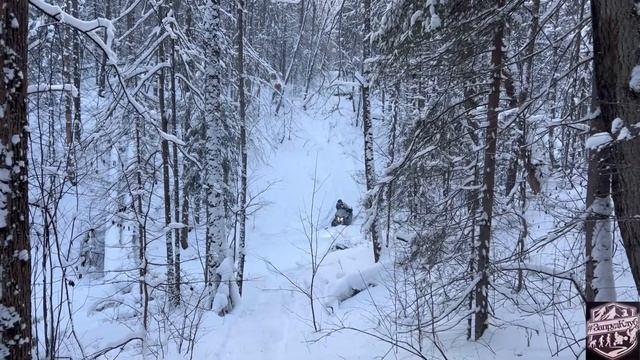 Снегоход STELS Капитан едет на равне с BRP #запрудклуб #snowmobile #снегоходыпермь смотреть онлайн